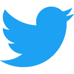 Follow BizzSurfer on Twitter