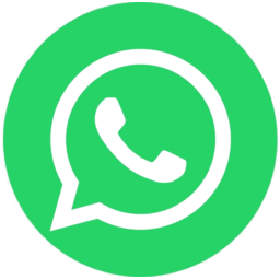 Follow BizzSurfer on WhatsApp